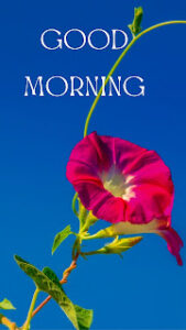 good morning 101