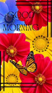 good morning 104