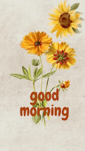 good morning 106