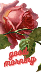 good morning 111