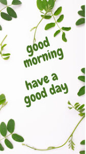 good morning 115