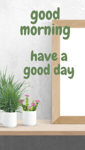 good morning 116