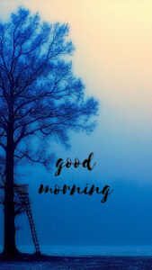 good morning 118