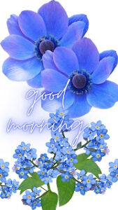 good morning 120