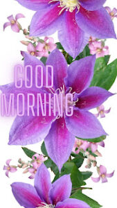 good morning 121