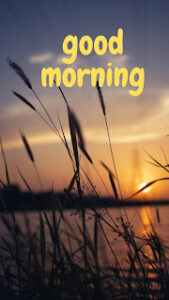 good morning 129