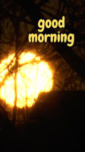 good morning 130