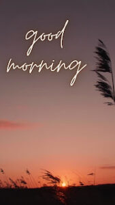 good morning 131