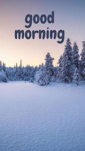 good morning 137