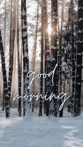 good morning 141