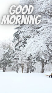good morning 151