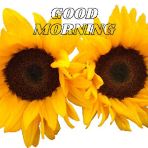 good morning 16