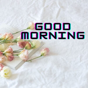 good morning 17