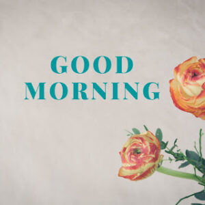 good morning 19
