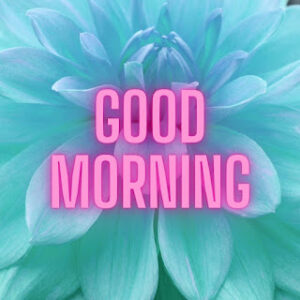 good morning 20