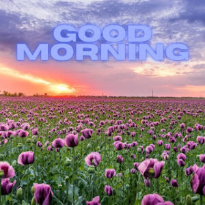 good morning 21