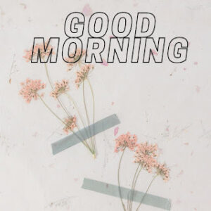 good morning 23
