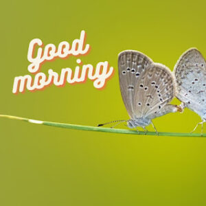 good morning 30