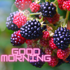 good morning 32