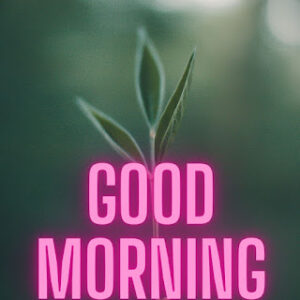 good morning 34