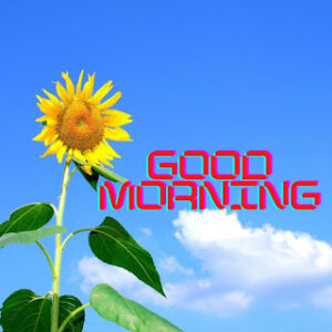 good morning 35