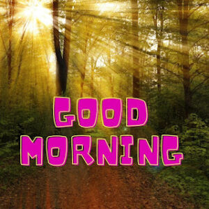 good morning 36
