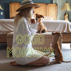 good morning 37
