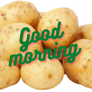 good morning 48