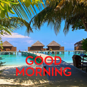 good morning 49