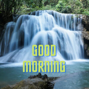 good morning 52