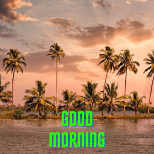 good morning 53
