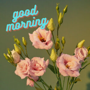good morning 54