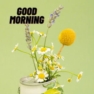 good morning 56