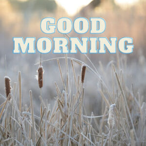 good morning 57