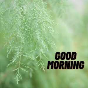 good morning 60