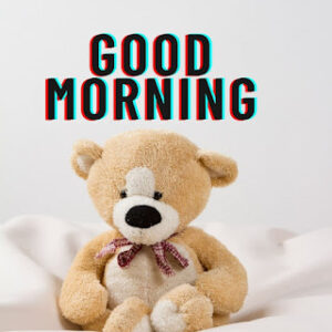 good morning 61