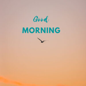 good morning 77
