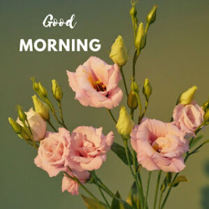 good morning 78