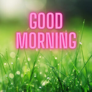good morning 8