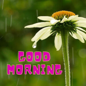 good morning 9