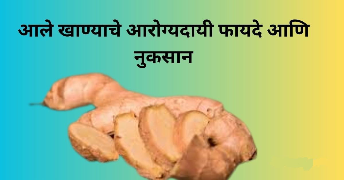 आले खाण्याचे आरोग्यदायी फायदे आणि नुकसान (Benefits of jinjer and disadvantages)