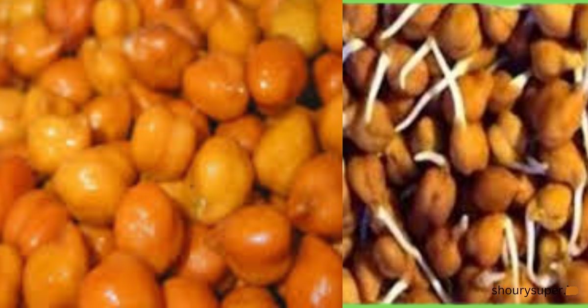 भिजवलेले हरभरा खाण्याचे 7 फायदे ! कुणी हरभरा खाऊ नये ? जाणून घ्या.