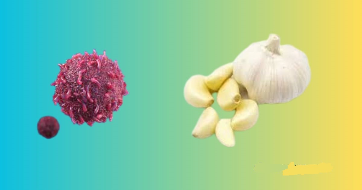 garlic disadvantages