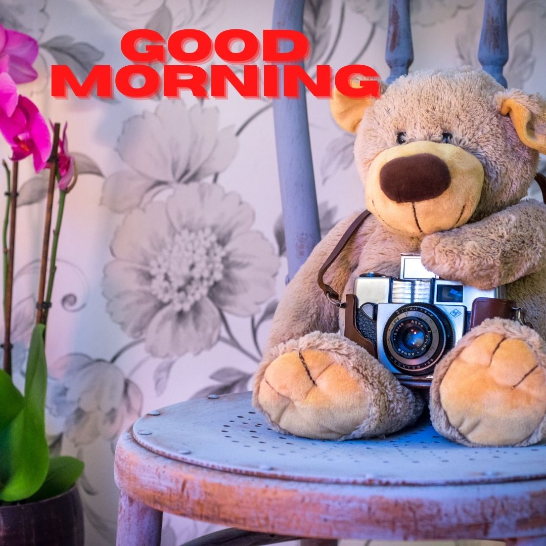 200+ Beautiful Good morning images,photos, pics & quotes whatsup images impressing on freinds and family.