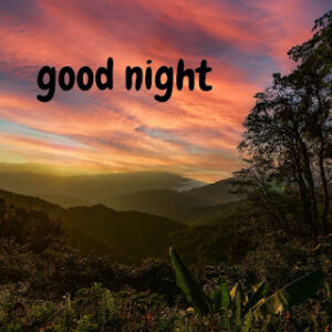 good night 12