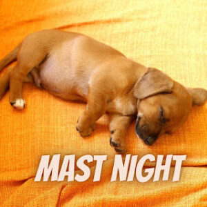 good night 33