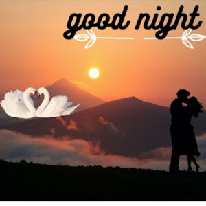 good night 4