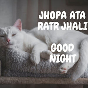 good night 47