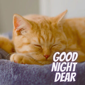 good night 52