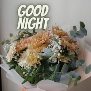 good night 64